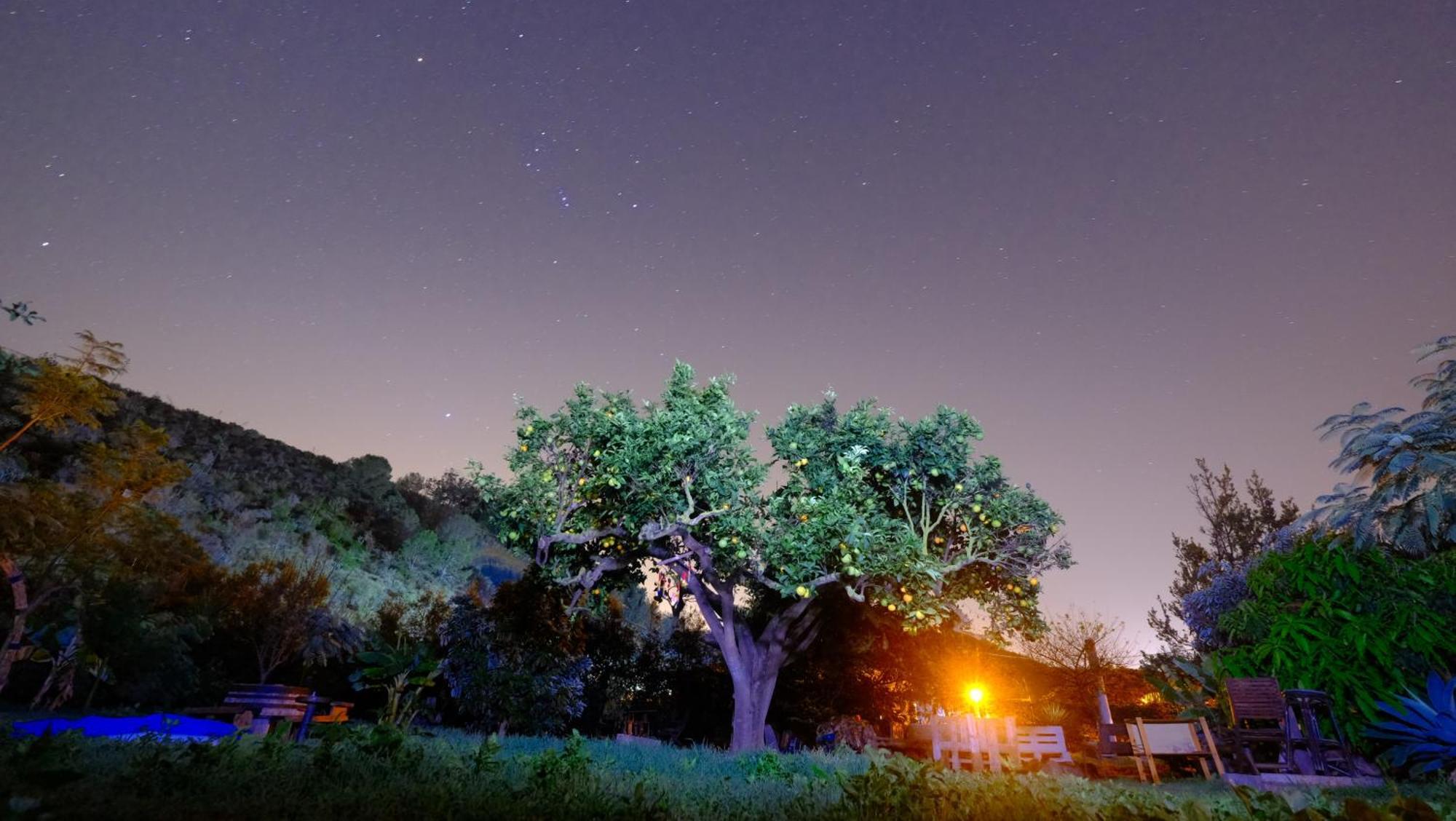 Vuelve Al Origen - Nomadas Digitales Tegueste Buitenkant foto