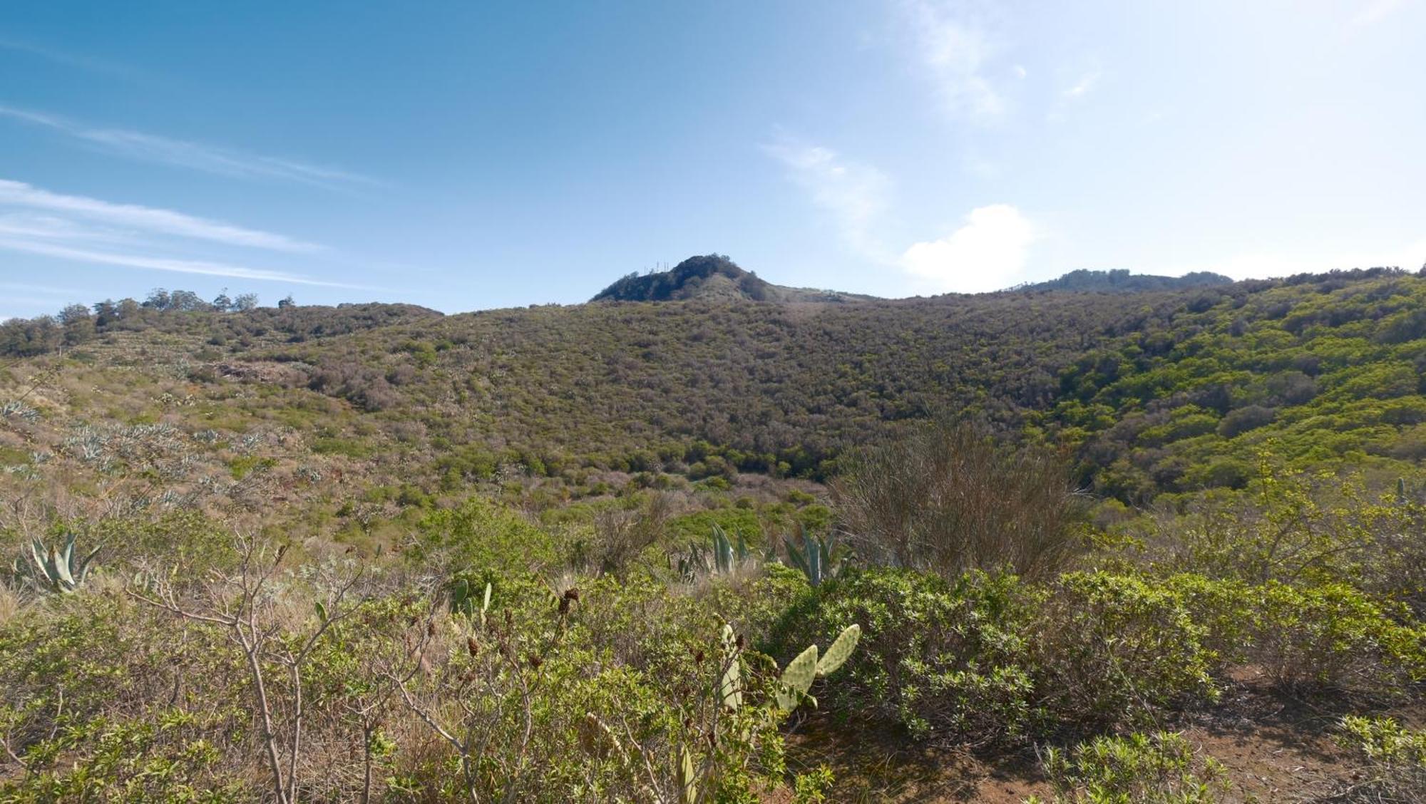 Vuelve Al Origen - Nomadas Digitales Tegueste Buitenkant foto